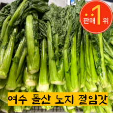 국내산 해풍맞은 여수 돌산 절임갓 제철 산지직송, 1개, 10kg