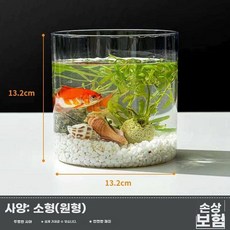 플라스틱 어항 거실 거북이 금붕어 PET소재대형수조 수족관, 1개