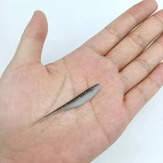 DUODUOYU 낚시 소프트 루어 플라스틱 미끼 0.65g/50mm 실물 포크 패들 테일 수영 담수 태클용 10 개, 01 0.65g--50mm, 05 XZ004 10PCS  HEIBAI