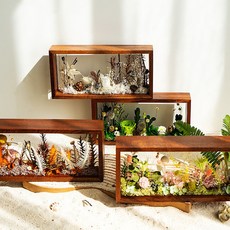 TREE.LEAF SET 永生花乾花實木相框DIY手作材料包, 單獨花材詢問