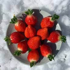 설향딸기 사천 논산 설향 딸기 생딸기 봄딸기 데코용딸기 생과일딸기, 1박스, 사천 설향딸기 /  750g (30-42과)