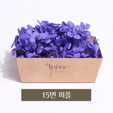 화연양화 프리저브드플라워 블루밍 케이스 수국 30색, 15 퍼플