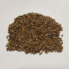 결명자 300g 수입산