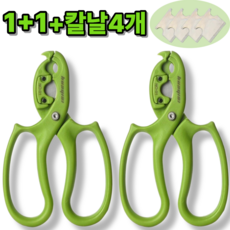 리온드 강스텐칼날4개 ABS소재 2way 전문가용 꽃가위 그린, 2개