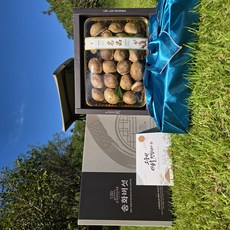 [산지직송]프리미엄 송화버섯 표고버섯 송이버섯 선물세트 가정용 1kg, 1개, 1kg(프리미엄 선물용 : 특~명품)