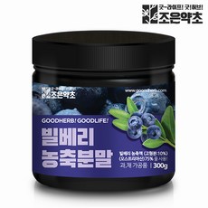 조은약초 빌베리 농축분말, 300g, 1개