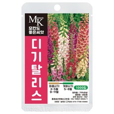 디기탈리스 1000립 26년 세계꽃씨앗, 1개