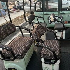 삼륜전기스쿠터 삼륜전동스쿠터 납산배터리 2V 단품 납산배터리, R. 방수 기능이 있는 갈색 좌석 쿠션과 등받이 + 은