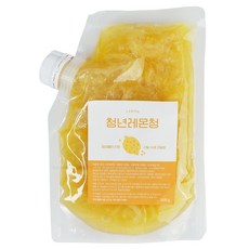 청년수제청 과일청 자일로스 수제 레몬청, 1개, 500g