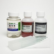 물벼룩 관찰세트 4종/생물 과학 실험 재료