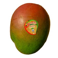 애플망고 수입애플망고 1KG내외(2~3과) 2KG내외(3~5과) 4KG내외(8~10과), 애플망고 1kg, 1박스