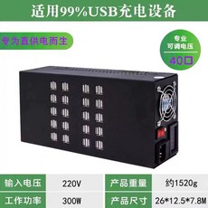 멀티 USB 디스플레이 허브 충전기 대용량 업소용 충전포트, L. 직접 전원 공급 장치 특수 40 포트