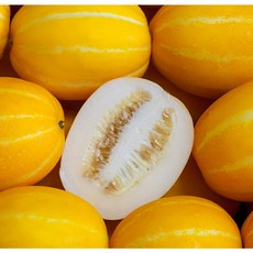 [단하루특가] 고당도 성주 참외 한정수량, 1박스, 3kg_못난이 혼합과