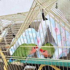 중형 새둥지 하트형 새집 산란 포치형 번식용 새장부속, 1개, 상세페이지 참조