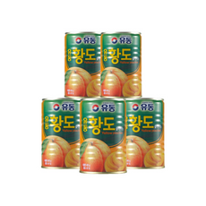유동 황도슬라이스 캔 통조림, 5개, 400g