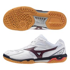 MIZUNO 美津濃 WAVE FANG PRO 羽球鞋