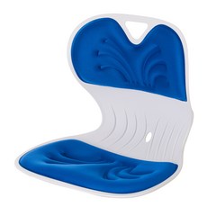 엔뚜마노 프로퍼체어 허리 등받이 자세교정 좌식 의자 PRO-15, 블루