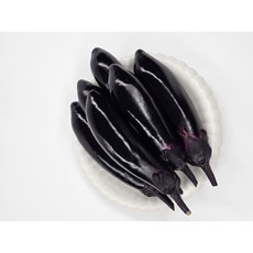 야채왕 가지 2개/10개 수량별, 가지 2개