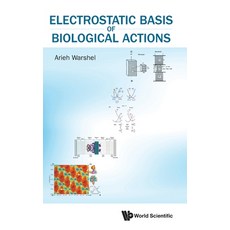 (영문도서)Electrostatic Basis of Biological Actions Hardcover, World Scientific Publishing..., English, 9789819820603