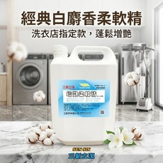 三新立潔 經典白麝香 增艷柔順精, 1個