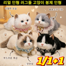 2026! 리얼 인형 러그돌 고양이 봉제 인형 뽀글이 장난감 로봇 고양이인형 움직이는 고양이 인형 1/1+1, 40cm, [2P] 밀크 커피 색상