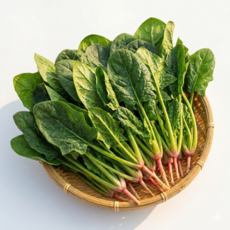 [산지직송] 해풍 맞은 달큰한 보물초 시금치, 1kg, 1개