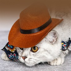 매일발견 고양이모자 고양이옷 묘르신 강아지모자 펫코스튬 냥이모자, 브라운