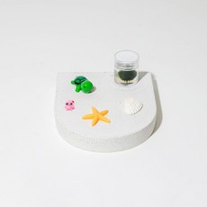 마리모와 거북이 친구들 (마리모 사이즈 S), 1개