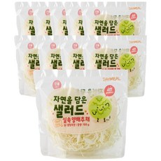 데이밀 자연을담은 샐러드 실속 양배추 채 100g 국내산 바로 먹는 야채 채소, 10개