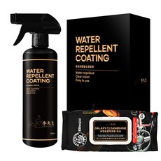 이선생 유리세정발수코팅제 500ml+이선생 세정&광택코팅티슈 30매 1개, 500ml