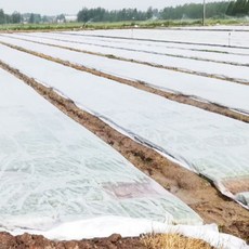 텃밭용 못자리 보온 부직포 20g 소포장 10m, 1개