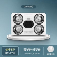 욕실 벽걸이 온풍기 난방기 무타공 화장실 히터 조명 일체형, 실버전원플러그, 기본 모델명/품번
