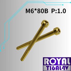 ROYAL 鈦合金螺絲 M6*80B P:1.0 錐形螺絲 土豪金, 1個