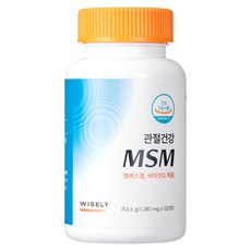 와이즐리 최대 함량 미국산 MSM 비타민D3 관절 건강 MSM, 1개, 120정