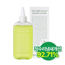 STEAMBASE 티트리 스칼프 워터 스케일러 250ml, 1개