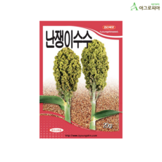 난쟁이 수수 20g 씨앗 씨 종자, 1개