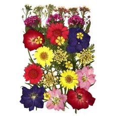 레진 압화 꽃 천연 건조 스티커 스크랩북 22종 1개, 4