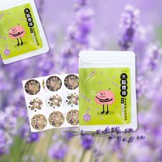 SOUPURE溯璞家品 大腦體操精油香氛貼片 紫色薰衣草, 1個