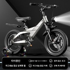 마그네슘 합금 일체형 바퀴가 장착된 새로운 유형의 자전거, 14인치, 우주용 은색 일체형 휠