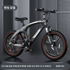 2025년형 초경량 마그네슘 합금 영구 어린이 자전거 10~15세 6~12세 초등학생 자전거, 1개, 130cm, 시크 블랙B 변속 일체형 바퀴