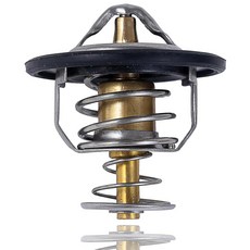 XCZBX 52028898AE 엔진 냉각수 온도 조절기 개스킷 포함 닷지 2011-2018 램 2008-2018 챌린저 2006-2018 충전기 2004-2018 듀랑고 2