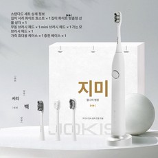 누마 전동칫솔 플라그제거 어르신 회전 깔끔 선물 음파진동, 스탠다드프로스트화이트그레이화이트음파