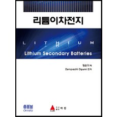 리튬이차전지, 아진