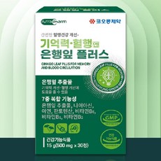 진스샵 코오롱제약 기억력 개선 혈행 건강 은행 잎 추출물 아연 비타민B6 영양제 30정, 1
