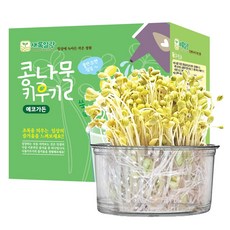 콩나물 키우기 1p 국산콩 식물 키우기 재배 키트, 1개