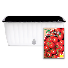 라운드오프 간단한 저면관수 텃밭화분 set, 텃밭화분+방울토마토