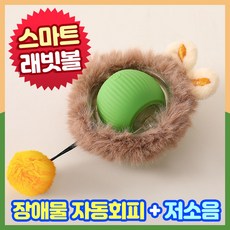 앤트앤비 지랄발광 자동장난감 스마트 캣 토이 공 놀이 USB 충전식, 1개, 그린
