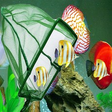 투유샵 수족관뜰채 수초정리