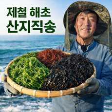 완도 생매생이 물매생이 당일수확 3덩이 5덩이 10덩이, 5개, 350g