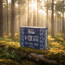 로버츠베리에 항공직송 재배가 아니라 채취하는 리얼 야생 핀란드 빌베리, 100ml, 6개